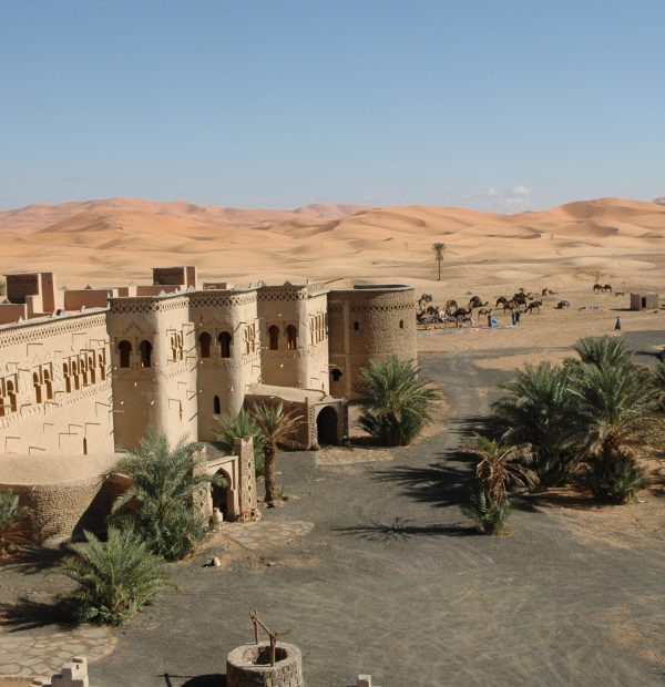 Exploring the desert